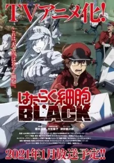 Hataraku Saibou Black เซลล์ขยัน พันธุ์เดือด แบล็ค ตอนที่ 1-13 ซับไทย